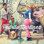 The Pedrito Martinez Group - La Luna (feat. Steve Gadd)