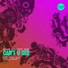 Can't U See (feat. Sara) - Single