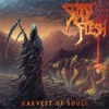 Harvest of Souls