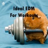 Ideal EDM For Workouts