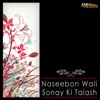 Naseebon Wali / Sonay Ki Talash, 2014