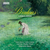 18 Liebeslieder Waltzes, Op. 52: No. 11, Nein, es ist nicht auszukommen artwork