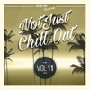 Not Just Chill Out Vol. 11