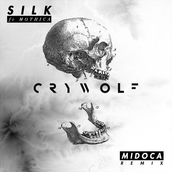 Cover artwork for Silk (feat. Mothica) [Midoca Remix]