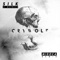 Silk (feat. Mothica) [Midoca Remix] - Crywolf lyrics
