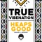 Heaps Good (Samuel L Jackson) - True Vibenation lyrics