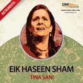 Eik Haseen Sham Tina Sani artwork