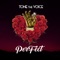 Perfect - Tone The Voice lyrics