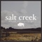 Rulo - Salt Creek lyrics