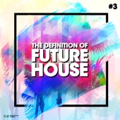 The Definition of Future House, Vol. 3 artwork