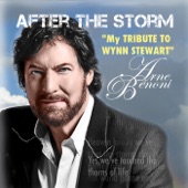 After the Storm (My Tribute to Wynn Stewart) artwork