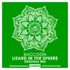 Lizard in the Sphere - Single album lyrics, reviews, download