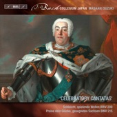 Bach: Celebratory Cantatas artwork