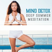 Mind Detox – Deep Summer Meditation: Energy Flow, Peaceful Retreat, Karmic Influence, Calm Dream, Personal Growth, Healing Vibes artwork