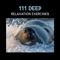 Concentration Music - Peaceful Sounds Zone lyrics