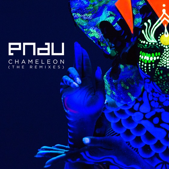 Cover artwork for Chameleon (Klue Remix)