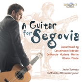 A Guitar for Segovia artwork