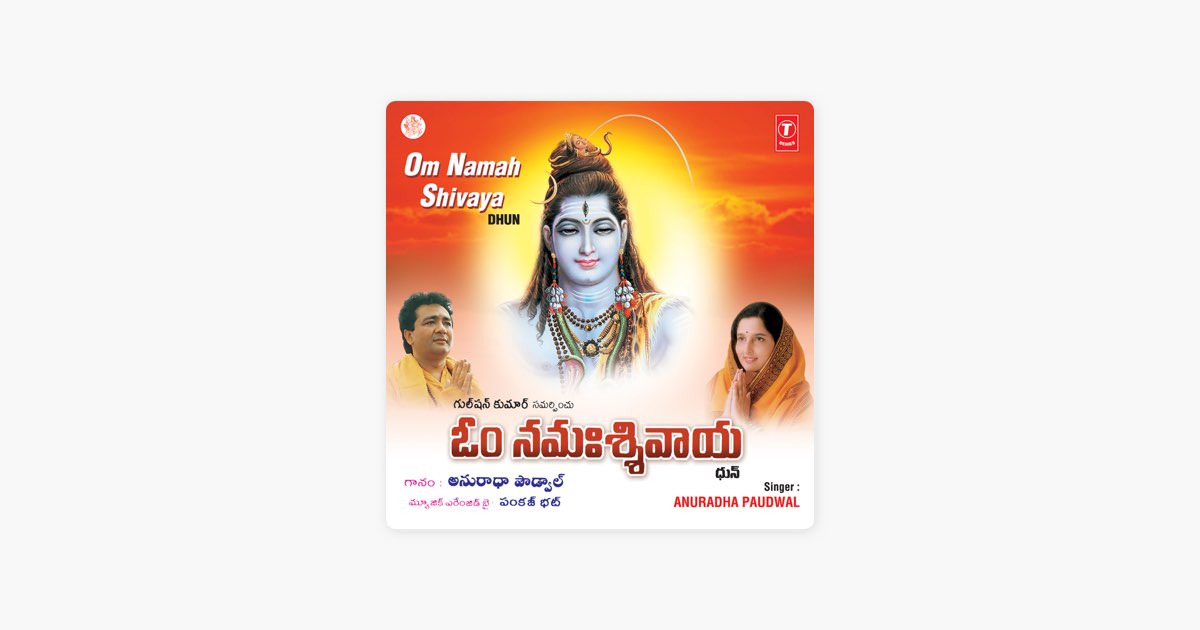 ‎om Namah Shivaya Dhun By Anuradha Paudwal And Pankaj Bhatt — Song On Apple Music 2513