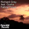 Falling Down (feat. Gosha) - Single album lyrics, reviews, download