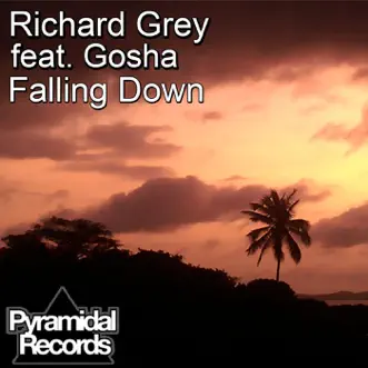 Falling Down (feat. Gosha) - Single by Richard Grey & Gosha album reviews, ratings, credits