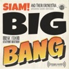 Big Bang - Single