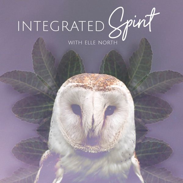 Integrated Spirit cover