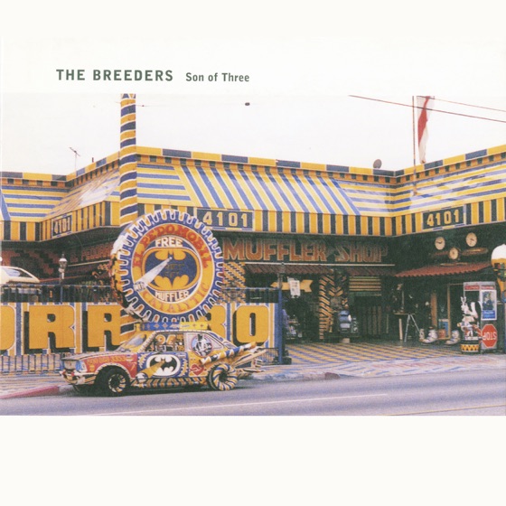 Cover artwork for Safari