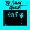 The Flamin' Groovies, 1970