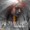 What We Had - Single