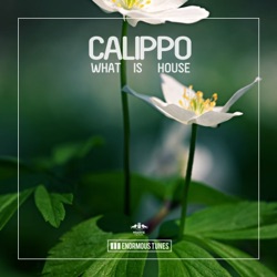 Calippo - What Is House