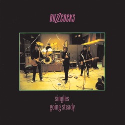Buzzcocks - Raison D'etre