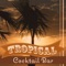 Tropical Cocktail Bar - Corp Sexy Latino Dance Club lyrics