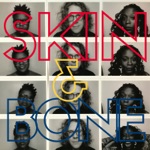 Skin and Bone (feat. Shirlette Ammons & Tamisha Waden) by Phil Cook