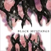 Black Mustangs - EP