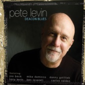 Pete Levin - Deacon Blues (feat. Joe Beck, Mike DeMicco, Danny Gottlieb & Tony Levin)