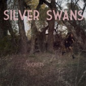 Secrets artwork