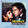 Dilwale Kabhi Na Hare (Original Motion Picture Soundtrack)