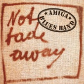 Not Fade Away artwork