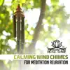 Calming Wind Chimes for Meditation Relaxation: 30 Best Sounds Therapy for Stress Relief, Cure for Insomnia, Yoga Class, Zen Experience album lyrics, reviews, download