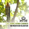 Calming Wind Chimes for Meditation Relaxation: 30 Best Sounds Therapy for Stress Relief, Cure for Insomnia, Yoga Class, Zen Experience