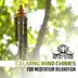 Calming Wind Chimes for Meditation Relaxation: 30 Best Sounds Therapy for Stress Relief, Cure for Insomnia, Yoga Class, Zen Experience album cover