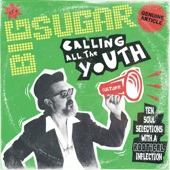 Calling All the Youth (feat. Willi Williams) artwork