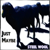 Steel Wool - When the Day Is Done (Live)