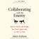 Adam Kahane - Collaborating with the Enemy: How to Work with People You Don't Agree with or Like or Trust (Unabridged)