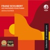 Jerome Ducros - Fantasie in C Minor, D. 2E
