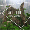 Soulful China Melodies: Soothing Music for Reflections, Relaxing Asian Instruments, Tibetan Meditation, Inner State - Wong Hu Mao