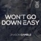 Won't Go Down Easy - JAXSON GAMBLE lyrics