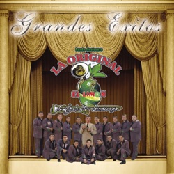 La Original Banda El Limon De Salvador Lizarraga - Abeja Reyna