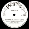 Sucker D.J.'s (I Will Survive) - Single