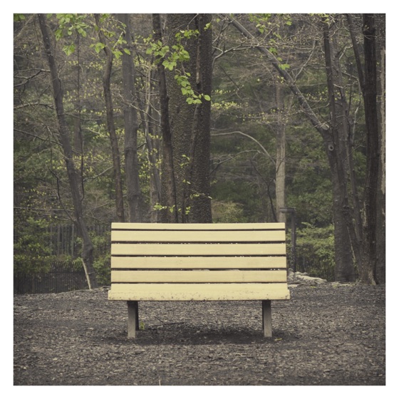 Cover artwork for Toe to Toe